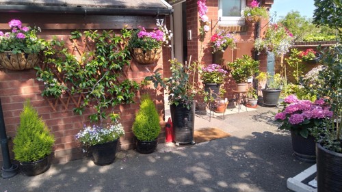 Best floral display winner, Paul and Pricilla Harding