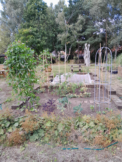 A picture of the garden of the Best Edible Garden category winner