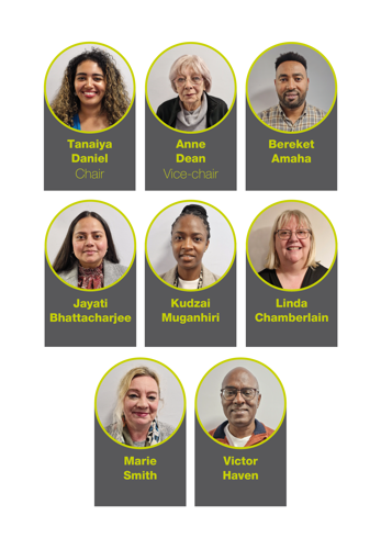 A photograph showing all the members of the Housing Assurance Board